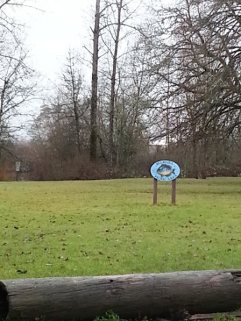 Blue Gill Picnic Area - Salem, OR.jpg