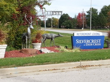 Deer Statues at Deer Creek - Overland Park, KS.jpg