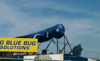 Big Blue Bug - Providence, RI.jpg