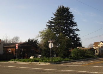 Historic McGee-Spaulding District - Berkeley, CA.jpg