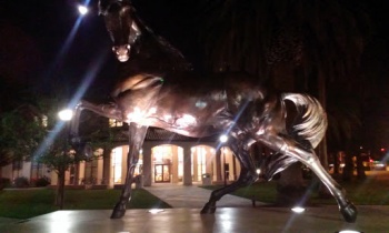 Bronco Santa Clara University - Santa Clara, CA.jpg