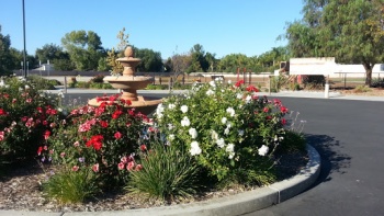 Centerpoint Church Fountain - Murrieta, CA.jpg