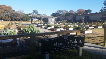 Magnolia Community Garden - Charleston, SC.jpg