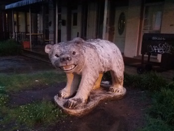 Polar Bear - Richmond, VA.jpg