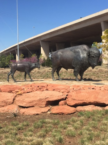 Where the Buffalo Roam - Oklahoma City, OK.jpg