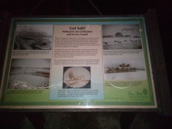 Got Salt - Hayward, CA.jpg