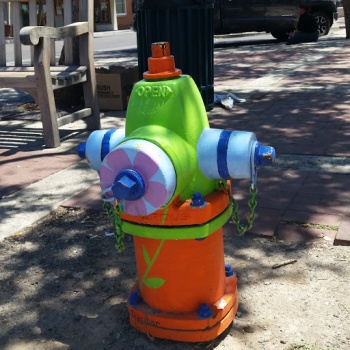 My Colorful Hydrant - Glendale, AZ.jpg