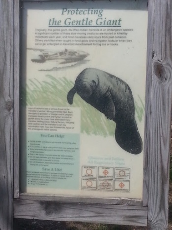 Protection Manatee Plaque - Cape Coral, FL.jpg