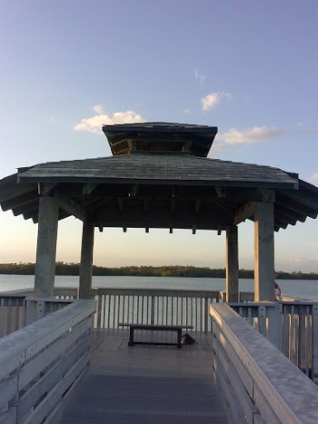 Anne Kolb Wildlife Pavilion Viewpoint - Hollywood, FL.jpg