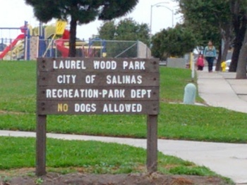 Laurel Wood Park - Salinas, CA.jpg
