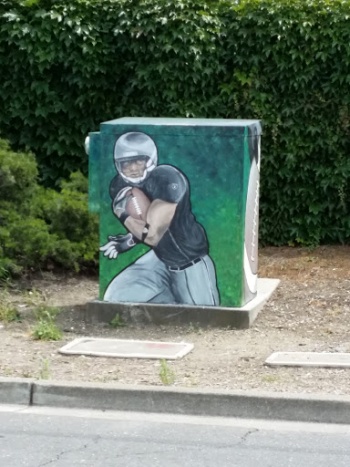 Raiders Player - Hayward, CA.jpg