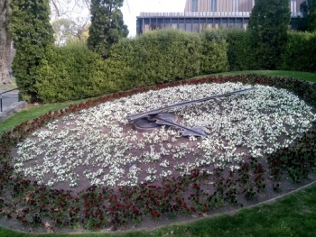 Victoria Square Floral Clock - Christchurch, Canterbury.jpg
