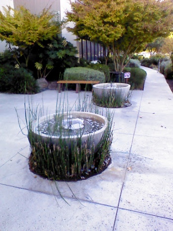 Hitachi Lobby Entrance Twin Fountains - Santa Clara, CA.jpg