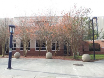 Edith Garland Dupre Library - Lafayette, LA.jpg