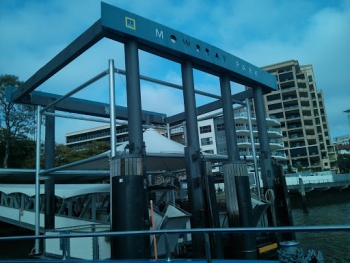 Mowbray Park Wharf - East Brisbane, QLD.jpg