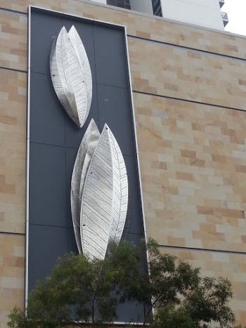 Fraser Leaves - East Perth, WA.jpg