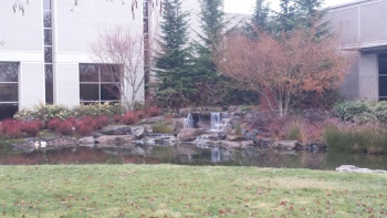 Perryman's Pond and Waterfall - Salem, OR.jpg