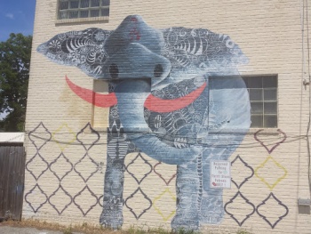 Groovy Elephant - Charleston, SC.jpg