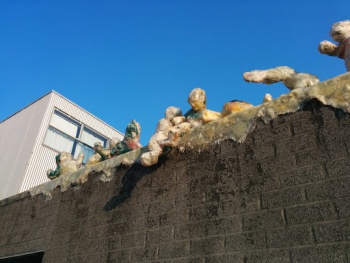Climbing the Wall - Amsterdam, NH.jpg