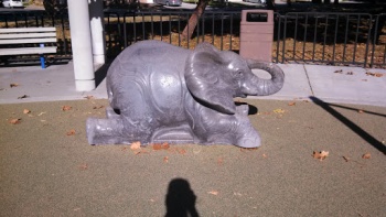 Coy Park Climb an Elephant - San Jose, CA.jpg