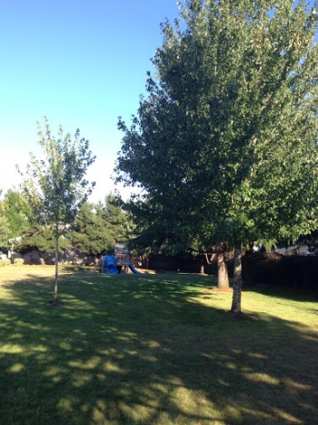 Hembre City Park - Cornelius, OR.jpg