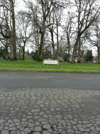 Oakbrook Park - Vancouver, WA.jpg