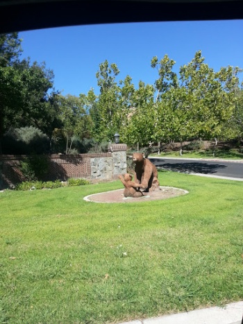 Mama Bear and Baby Bear - Antioch, CA.jpg