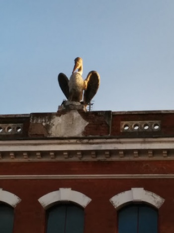 Hockley Bird - Birmingham, England.jpg