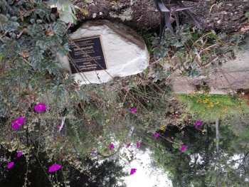 Redondo Beach Get Water Smart Garden - Redondo Beach, CA.jpg