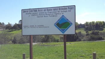 Sabercat Creek - Fremont, CA.jpg