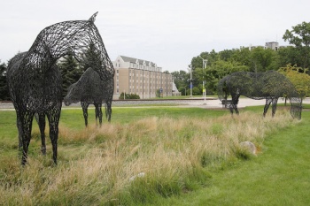 The Noble Horse - Toledo, OH.jpg