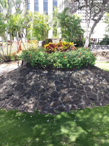 Volcano Garden - Topa FP - Honolulu, HI.jpg