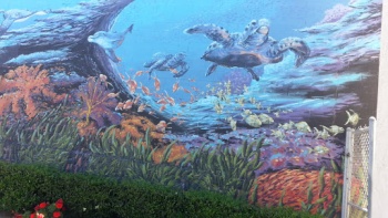 Sea Turtle Mural - El Cajon, CA.jpg