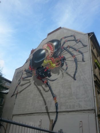 Anatomie Einer Spinne - Hamburg, HH.jpg