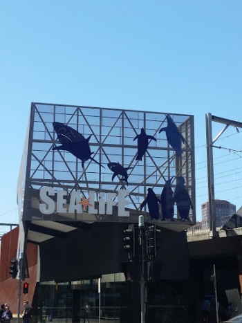 Sea Life Sculpture - Melbourne, VIC.jpg