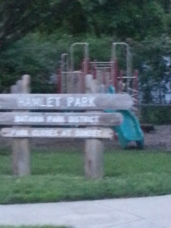 Hamlet Park - Aurora, IL.jpg
