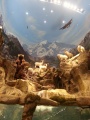 Thumbnail for version as of 01:56, 23 July 2017