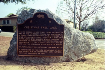 Christmas Tree Lane - Altadena, CA.jpg