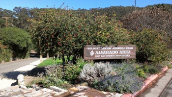 Alvarado Area Regional Park - Richmond, CA.jpg
