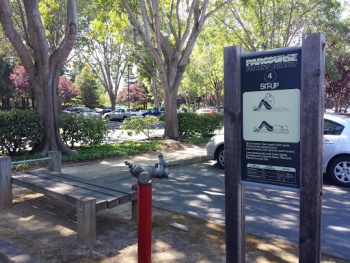 Sit Up Git Up! - Sunnyvale, CA.jpg