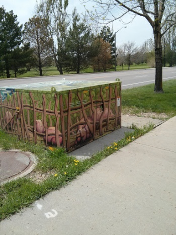Pigs on Power Box - Fort Collins, CO.jpg