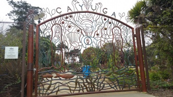 Cayuga Playground - San Francisco, CA.jpg