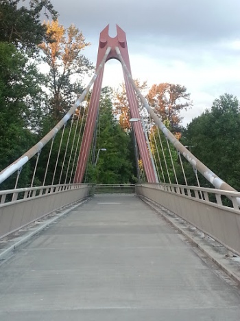 Peter Defazio Bicycle Bridge - Eugene, OR.jpg