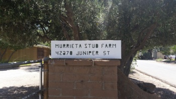 Murrieta Stud Farm - Murrieta, CA.jpg