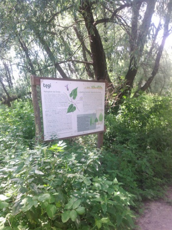 ÅÄgi - Warszawa, mazowieckie.jpg