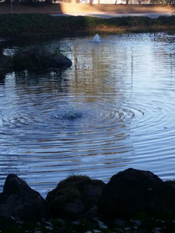Borel Place Fountain - San Mateo, CA.jpg