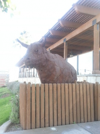 Toro! The Metal Bull - Murrieta, CA.jpg