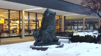 The Bears - Sterling Heights, MI.jpg