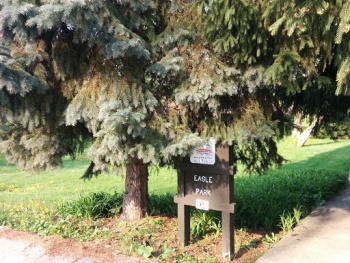 Eagle Park - Naperville, IL.jpg
