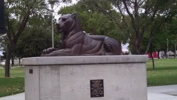 Mabel Lion - Las Cruces, NM.jpg